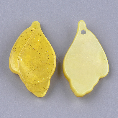 Cellulose Acetate(Resin) Pendants KY-S157-41C-1