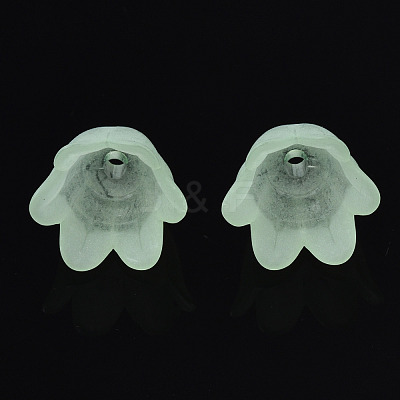 Transparent Acrylic Bead Caps FACR-N005-002C-1