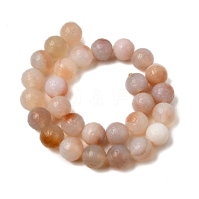 Natural Agate Beads Strands G-P614-A01-01-1