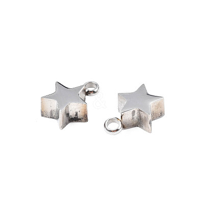 Non-Tarnish 304 Stainless Steel Charms STAS-N095-138-1