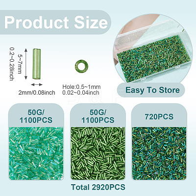 Transparent Bugle Beads Kits SEED-TA0001-57-1