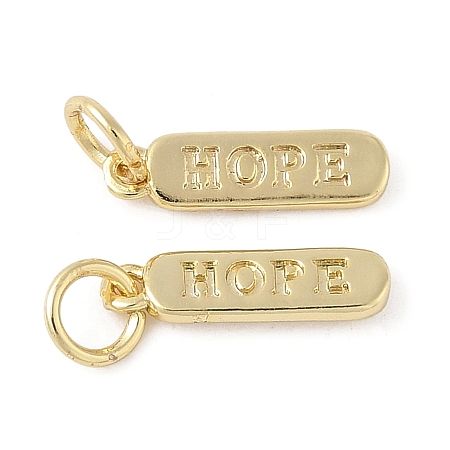 Brass Pendants KK-L245-01G-05-1