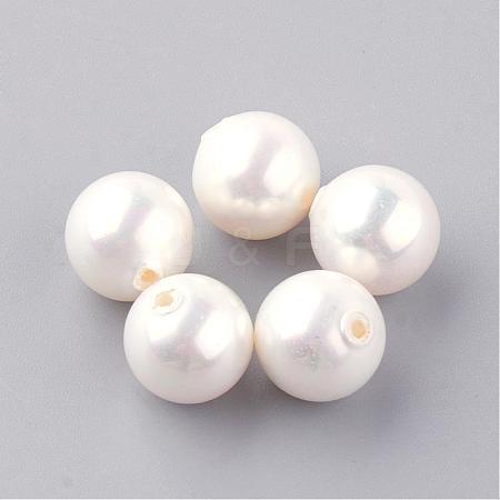 Natural Sea Shell Beads SHEL-Q008-18-7mm-1