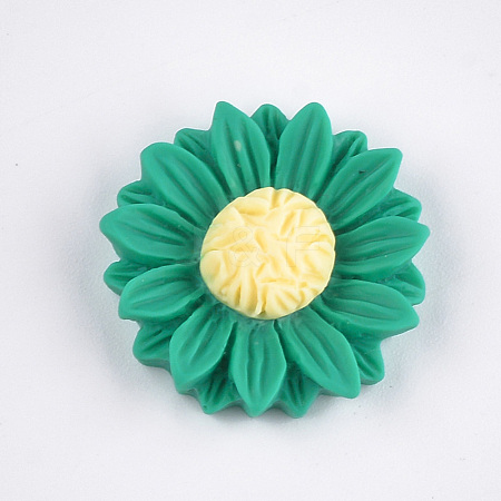 Resin Cabochons CRES-T010-59A-1