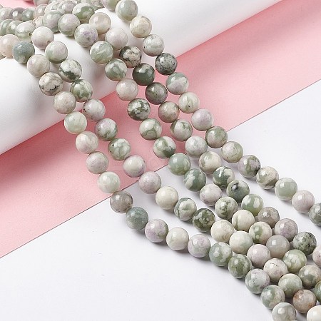 Natural Peace Jade Beads Strands G-G905-07-6MM-1
