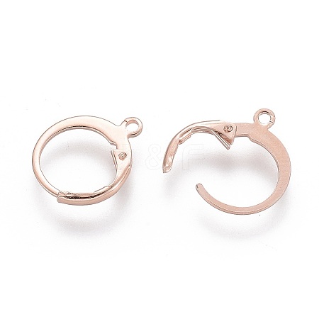 304 Stainless Steel Leverback Earring Findings STAS-D448-041RG-1