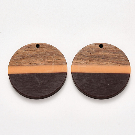 Resin & Walnut Wood Pendants X-RESI-S384-009A-A02-1