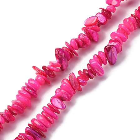 Natural Freshwater Shell Beads Strands BSHE-I016-01G-1