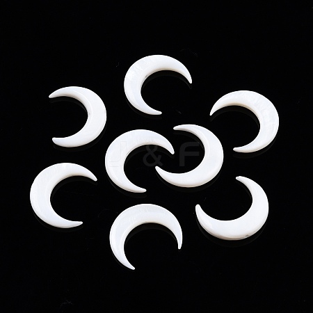 Freshwater Shell Beads SHEL-T012-12A-1
