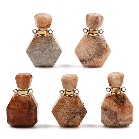 Natural Fossil Coral Perfume Bottle Pendants G-P554-G03-1