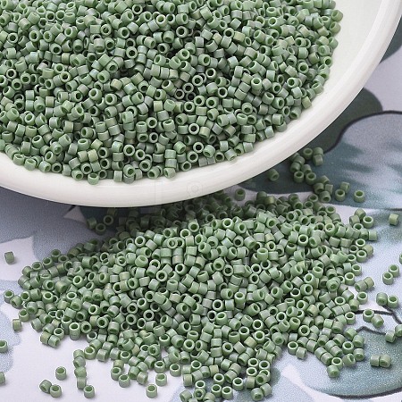 MIYUKI Delica Beads SEED-MY11-DB2310-1