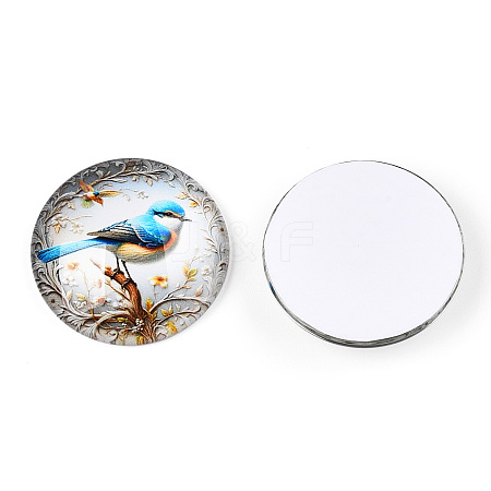 Glass Cabochons GGLA-T004-09F-1