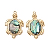 Natural Paua Shell Epoxy Resin Pendants PALLOY-JF05271-01-1