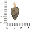 Natural Labradorite Pendants LS-G-C290-01D-3