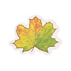 Autumn Leaf Scrapbooking Tool Kits DIY-P084-D02-3
