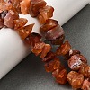 Natural Carnelian Beads Strands G-I283-F18-1
