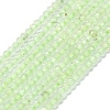 Natural Prehnite Beads Strands G-G106-A26-01-1