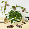 6Pcs Wood Wall Fixture Clips AJEW-FG0005-96A-4
