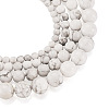 4 Strands 4 Style Natural Howlite Beads Strands G-TA0001-34-2