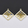 Light Gold Plated Alloy Pendants PALLOY-N150-30-3