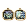 304 Stainless Steel & Natural Paua Shell Pendants SH-CBA7184-01B-G-1