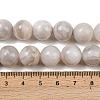 Round Natural Crazy Lace Agate Beaded Strands G-L374-01-12mm-5