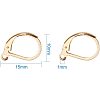 304 Stainless Steel Leverback Earring Findings STAS-PH0018-28G-2