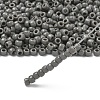 TOHO 6/0 Round Beads X-SEED-TR06-0053D-2