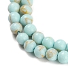 Synthetic Turquoise Beads Strands G-U004-02Q-4