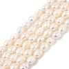 Natural Cultured Freshwater Pearl Beads Strands PEAR-I007-01B-02B-01-2