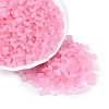 FGB Frosted Transparent Glass Seed Beads SEED-N013-05A-05-1