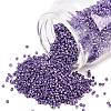 MIYUKI Delica Beads X-SEED-J020-DB2509-1