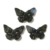 Natural Labradorite Pendants G-C091-04G-1