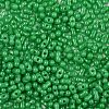 Baking Paint Glass Seed Beads SEED-L011-09A-02-3