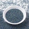 MIYUKI Round Rocailles Beads SEED-G007-RR0249-2