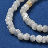 Natural Trochus Shell Beads Strands SSHEL-H072-13B-3