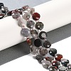 Natural African Bloodstone Beads Strands G-N342-12-2