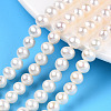 Natural Cultured Freshwater Pearl Beads Strands PEAR-N016-05A-2