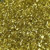Baking Paint Glass Seed Beads SEED-K009-03B-05-3