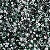 Baking Paint Glass Seed Beads SEED-Q041-03A-04-3