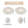 2 Strands Grade B Natural Cultured Freshwater Pearl Beads Strands PEAR-BBC0001-06-2