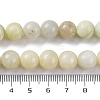 Natural New Jade Beads Strands G-F591-16-10MM-6