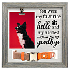 MDF Pet Photo Frames DIY-WH0525-003-1