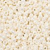 TOHO 6/0 Round Beads X-SEED-TR06-0122-3