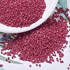 MIYUKI Delica Beads SEED-J020-DB0362-1