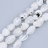 Natural Rainbow Moonstone Beads Strands G-S359-170-1