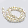 Natural Cultured Freshwater Pearl Beads Strands PEAR-K004-13C-2