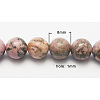 Natural Rhodonite Beads Strands X-G-B364-3-1