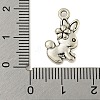 Tibetan style Alloy Pendants FIND-Z058-01AS-04-3