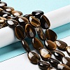 Natural Teardrop Tiger Eye Beads Strands G-L242-26-2